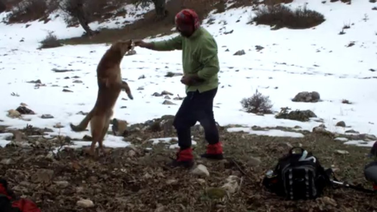 İbrahim Karayel ile Sarı :)