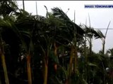 Cyclone Bejisa à La Réunion: 