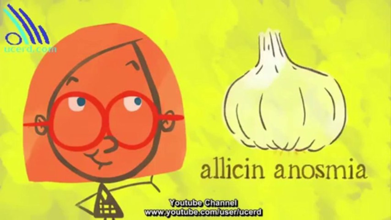 How do we smell- UCERD Gathering Intellectuals
