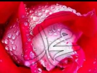 BEN BU MECLİSLERDE-MEHMET METE (Low)