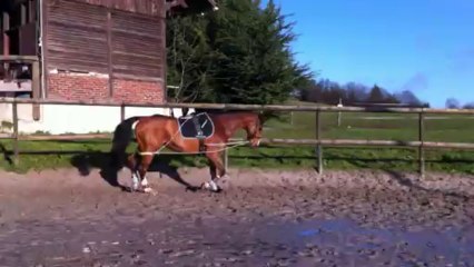 13-12-29 - Petite longe