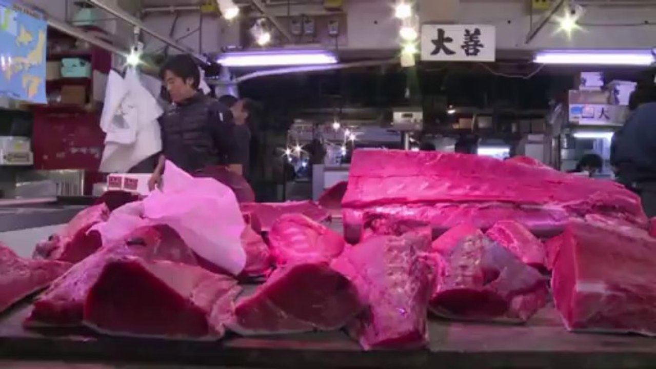 Größter Fischmarkt der Welt soll umziehen