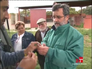 Ganadería de Aldeanueva (Juan Pedro Domecq y Díez)
