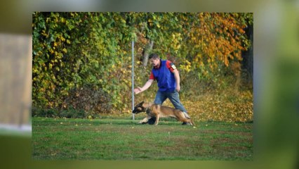 Be Aware Apollon @ 34.Bgld. LM 2013