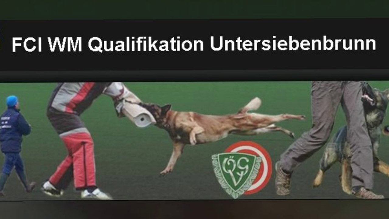 Be Aware Apollon - FCI-Quali Untersiebenbrunn 2011 - Diaporama