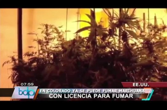 Colorado: Abren 37 tiendas para venta de marihuana con fines recreativos