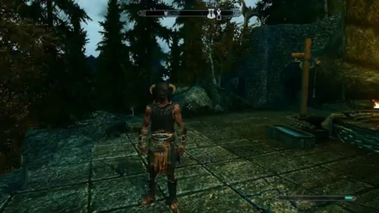 TESV 2014-01-02 16-29-20-51 (1)