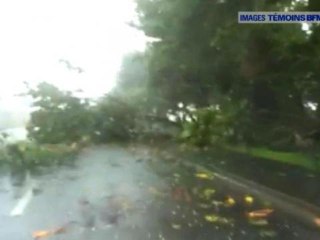 La Réunion, des arbres couchés sur la route - 02/01