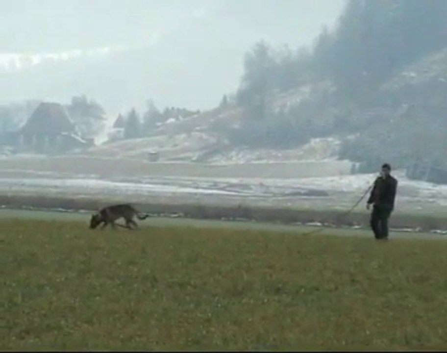 Be Aware Apollon @ IPO-1 Fährte