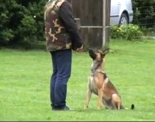 Be Aware Apollon @ IPO-3 Unterordnung