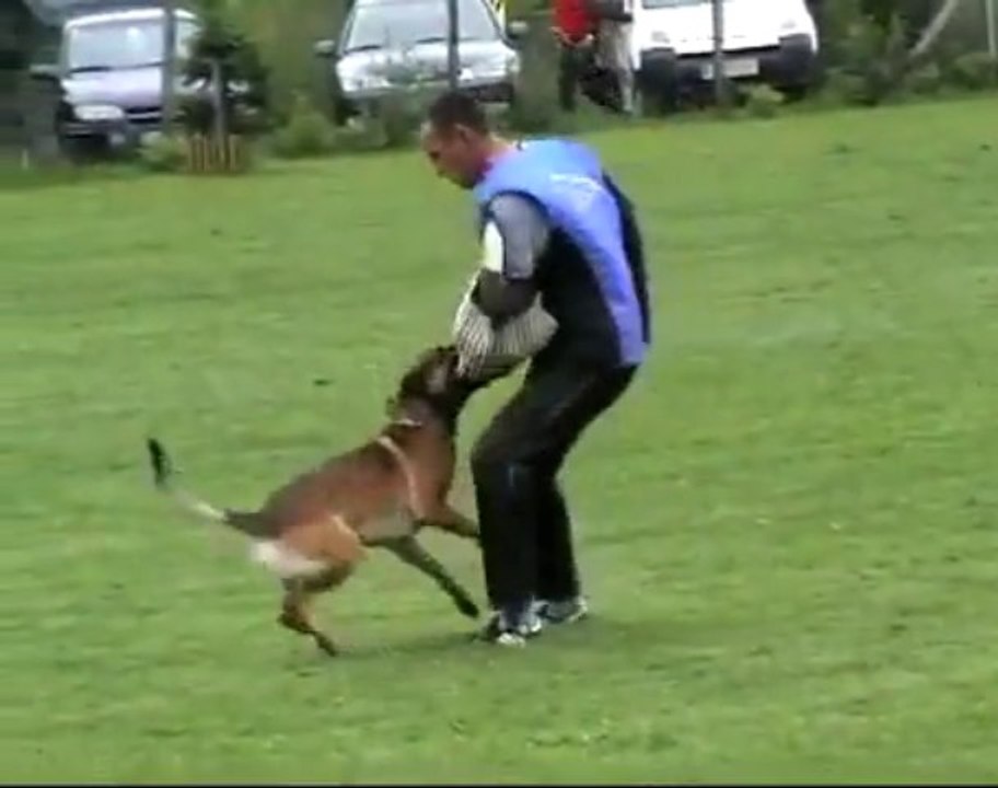 Be Aware Apollon @ IPO-3 Schutzdienst