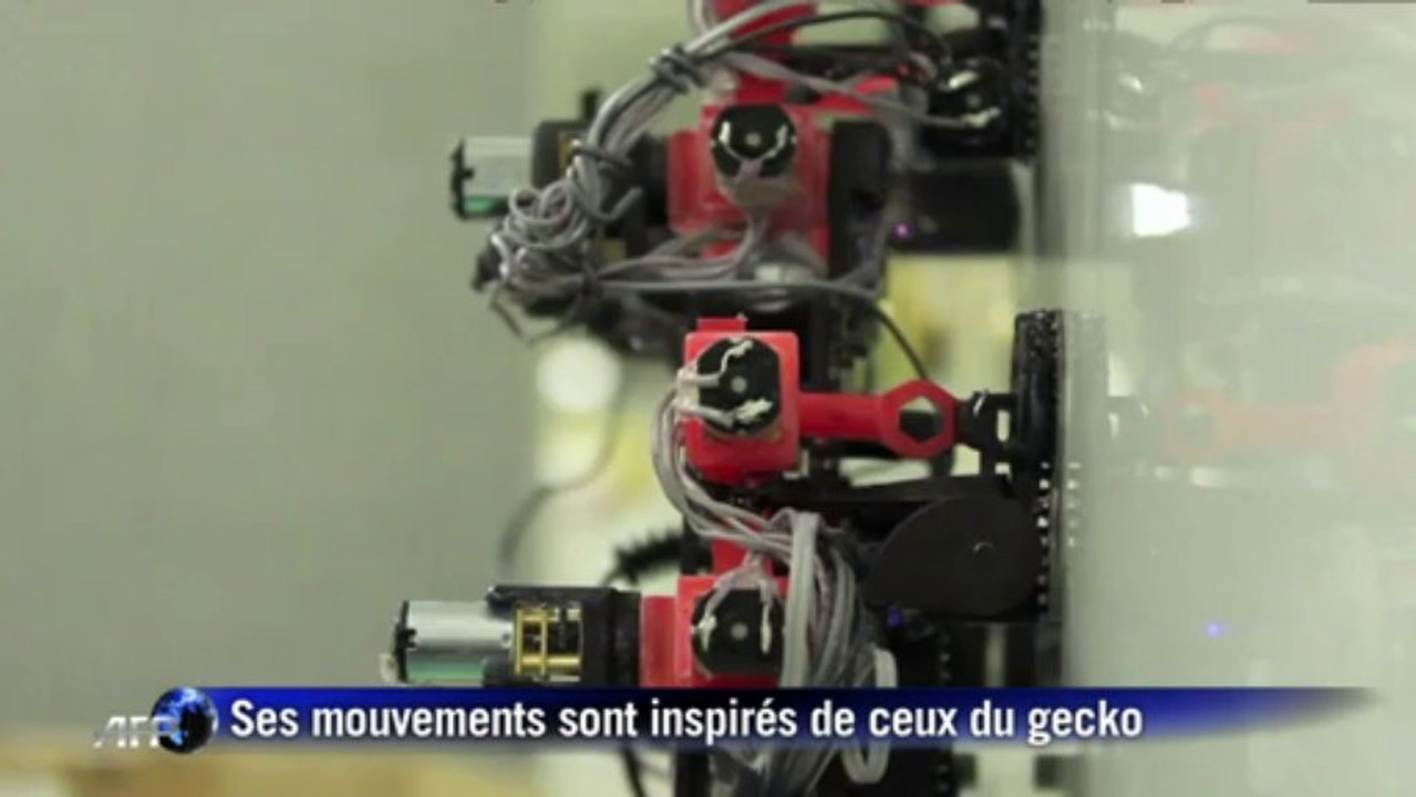 Les "robots gecko" pourront monter les murs, même dans l'espace
