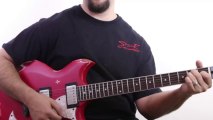Swampdog Blues - Bottleneck Guitar Picking - video dailymotion