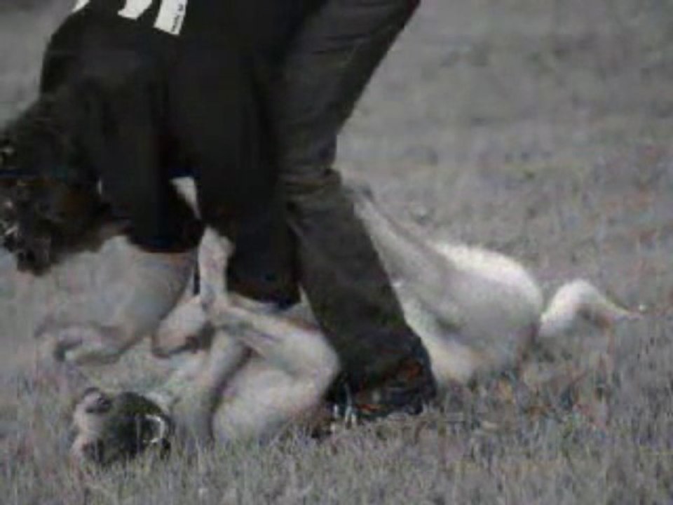 Be Aware C`Teufelchen @  Diashow