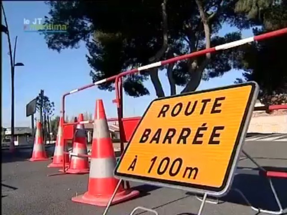 De nombreux arbres abattus à cause de la neige
