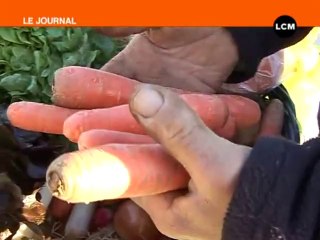 25/03/09 Un panier de légumes à la descente du train