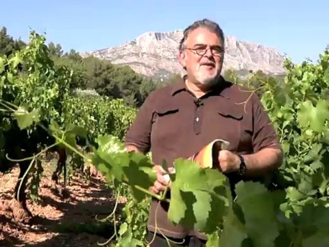 Rosés : 100 vins pour un été de fête