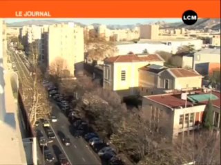 Des arbres centenaires abattus pour le futur tunnel Prado Sud