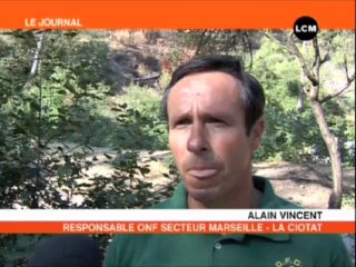 Retour au parc des Bruyères; un mois après l'incendie