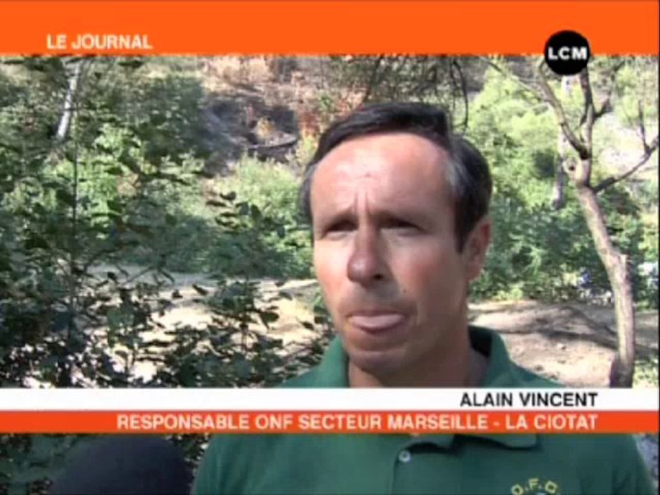 Retour au parc des Bruyères; un mois après l'incendie