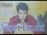 Neşet Çelebi - Şansıma