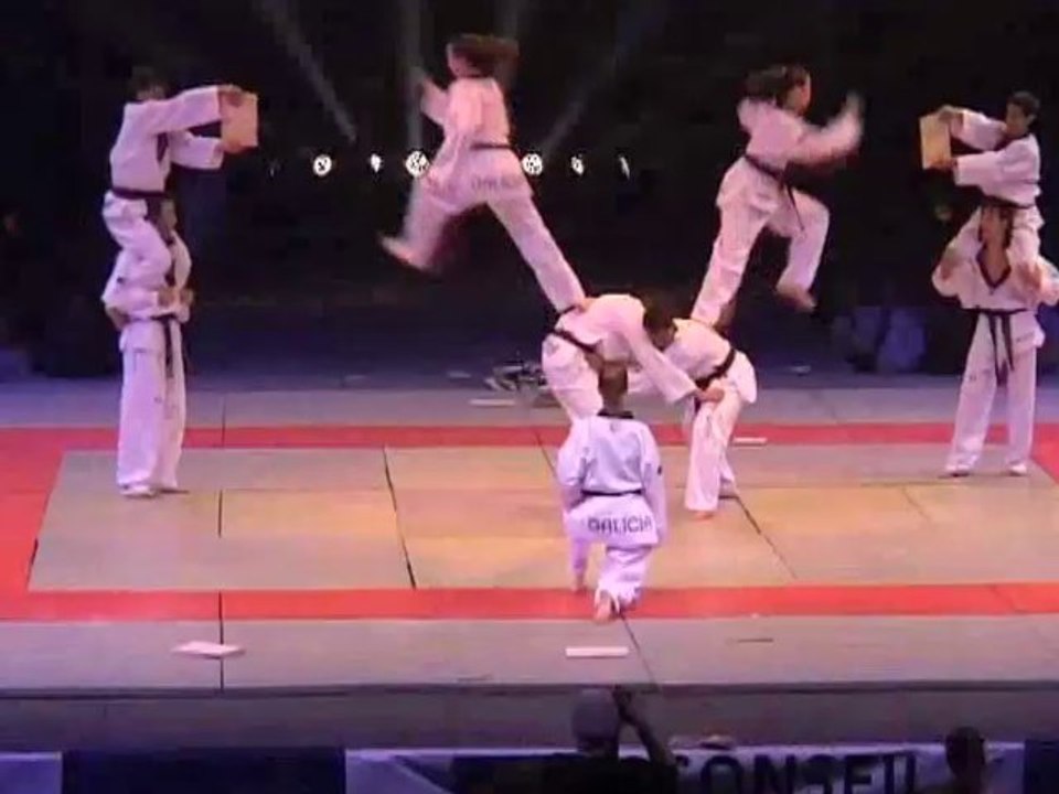 Programme du 8e Masters Mondiaux d'arts martiaux