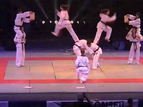 Programme du 8e Masters Mondiaux d'arts martiaux