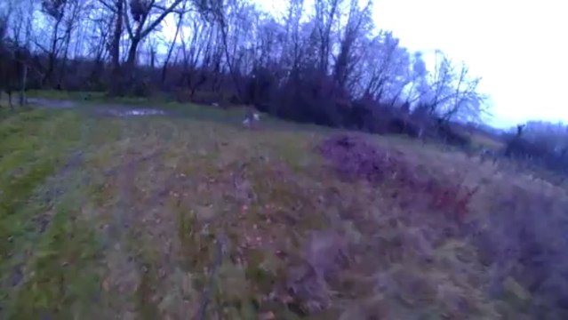 recherche utilitaire entre chien et loup