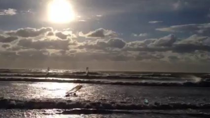 Des véliplanchistes partent à l'assaut des vagues