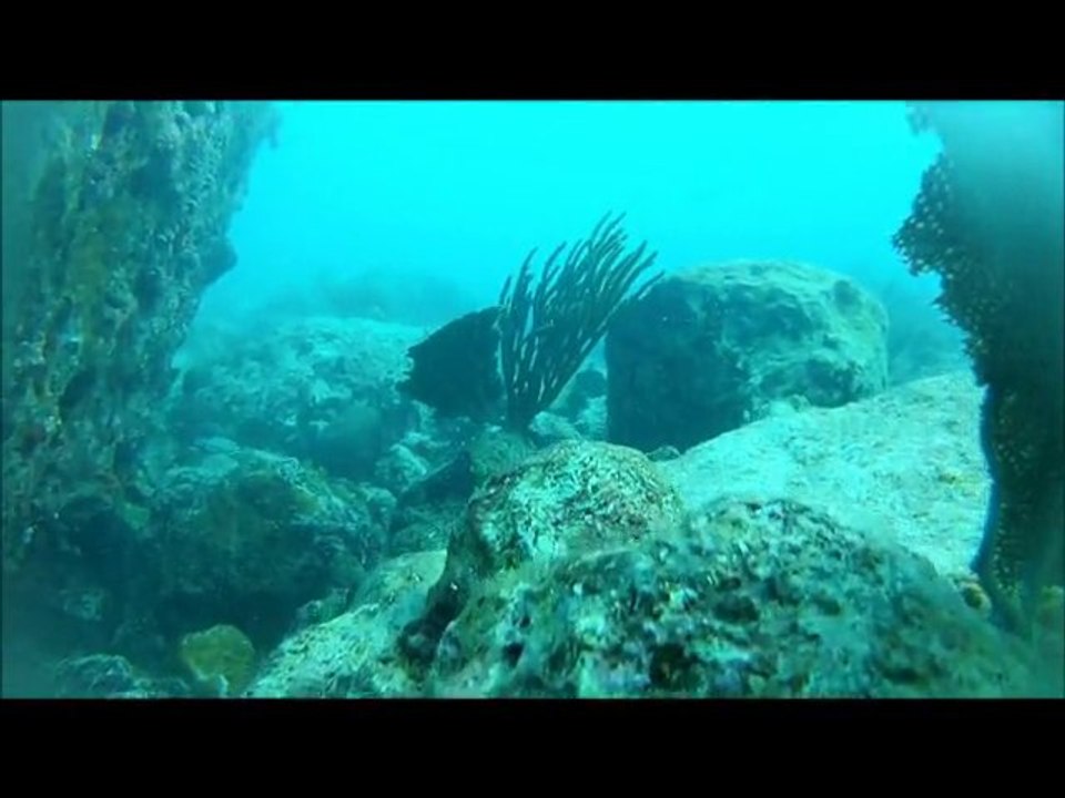 Plongée Rocher Créole