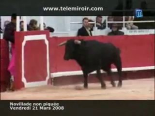 Feria d'Arles : la novillada non piquée