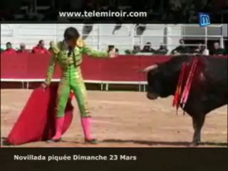 Feria d'Arles : la novillada du dimanche 23 mars