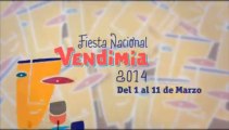 Viví Verano-Vendimia 2014. Mendoza Maravillosa!