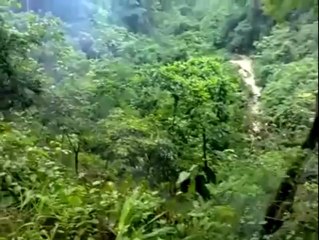 Death Road in Bolivia - Treacherous Mountain Pass In The Amazon