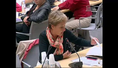 Auditions de M. Stéphane Richard, Pdg d'Orange - Mercredi 11 Juillet 2012