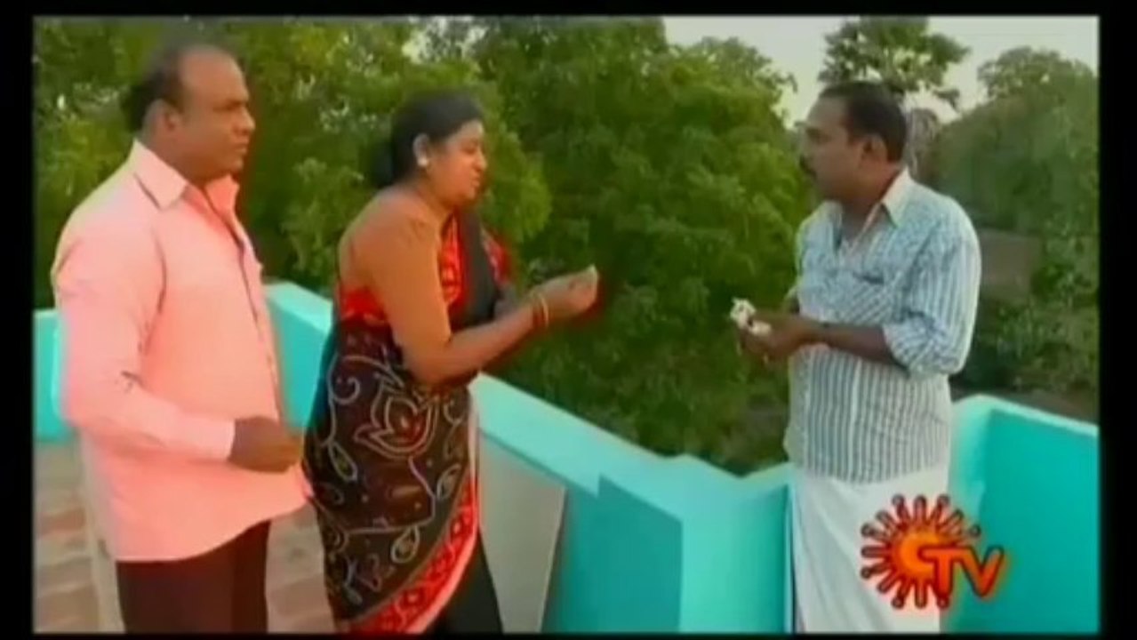 Nadhaswaram - 02.12.2013 & 03.01.2014 Promo