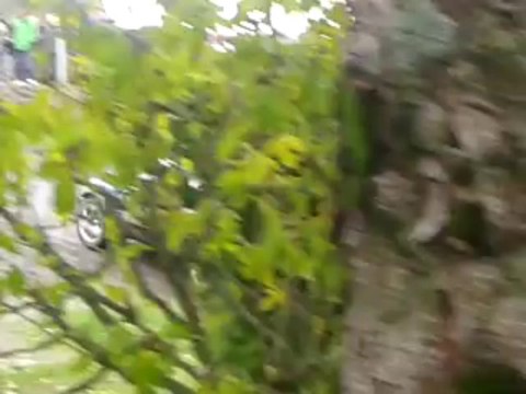 Rallye du Cantal 2013 /ES5 Charlaix-Da Silva