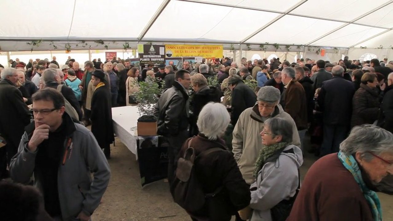 ALC - La foire à la Truffe de Cuzance