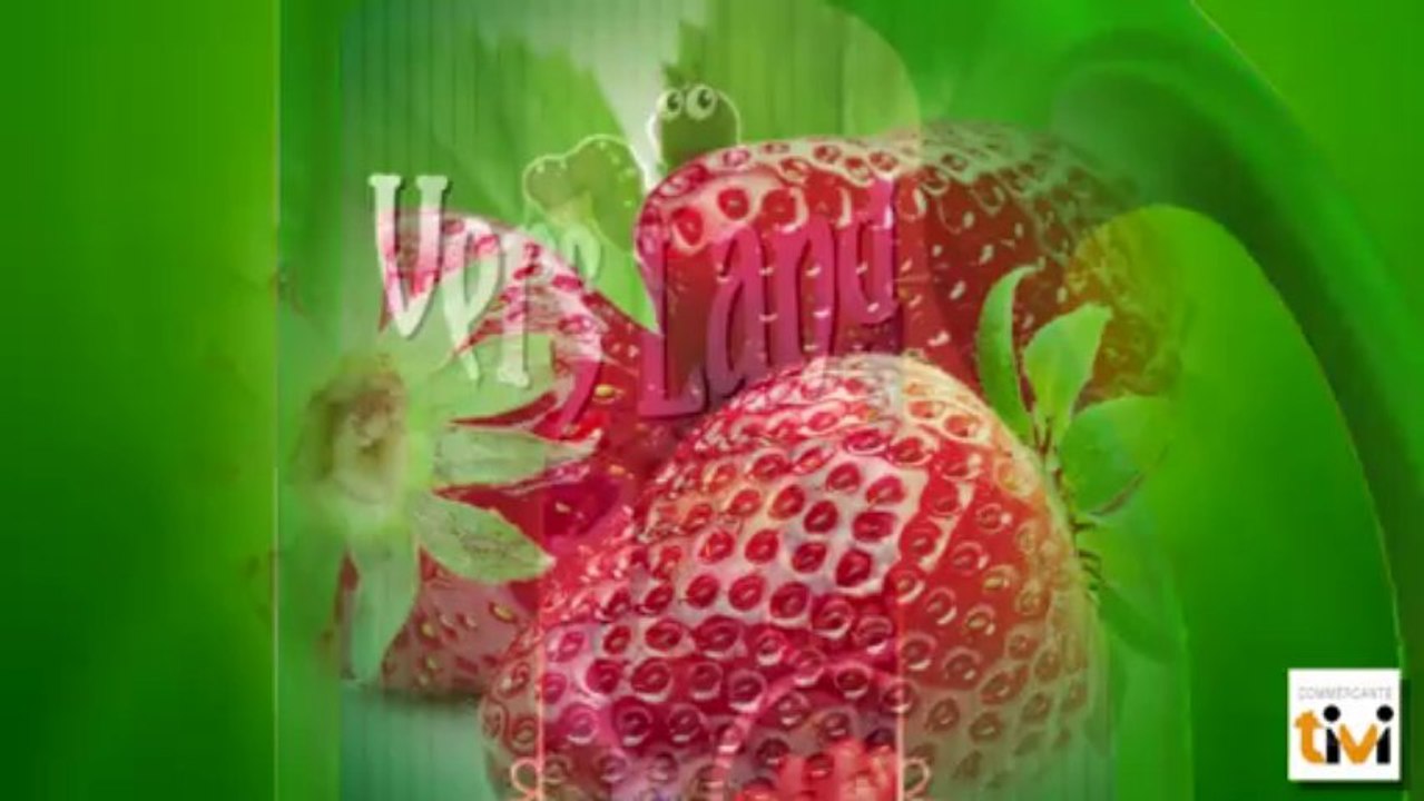 Vers Land, Elevage de vers de terre et producteur de Lombricompost à Trégomeur (Côtes d'Armor - 22)