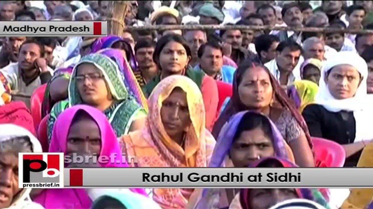 Rahul Gandhi: Congress is for every individual