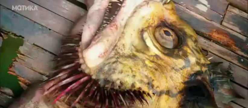 МОТИКА: Најава за нов кинески филм кој мора да се гледа!