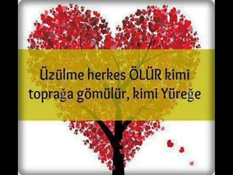 ALİ KINIK-BEN SENİN AŞKINLA YAŞLANIYORUM