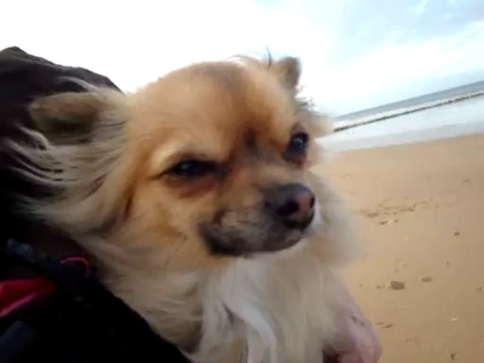Souvenirs de Cabourg