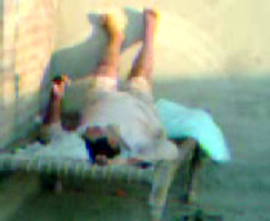 mehdi raza