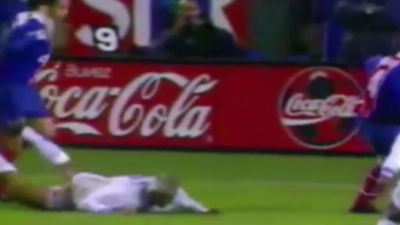 Die dümmsten Schwalben