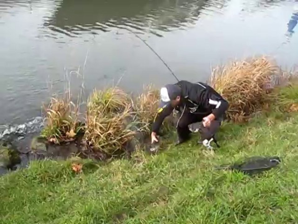 Premier poisseau eau douce 2014