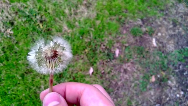 Nokia Lumia 2520 4G Tablet, Black (AT&T)