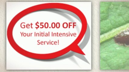 Pest Control Largo In Largo, FL 33771-4990  Call Now -1.800.720.5455  Anti Pesto Bug Killers