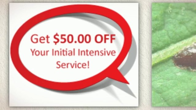 Pest Control Largo In Largo, FL 33771-4990 Call Now -1.800.720.5455 Anti Pesto Bug Killers