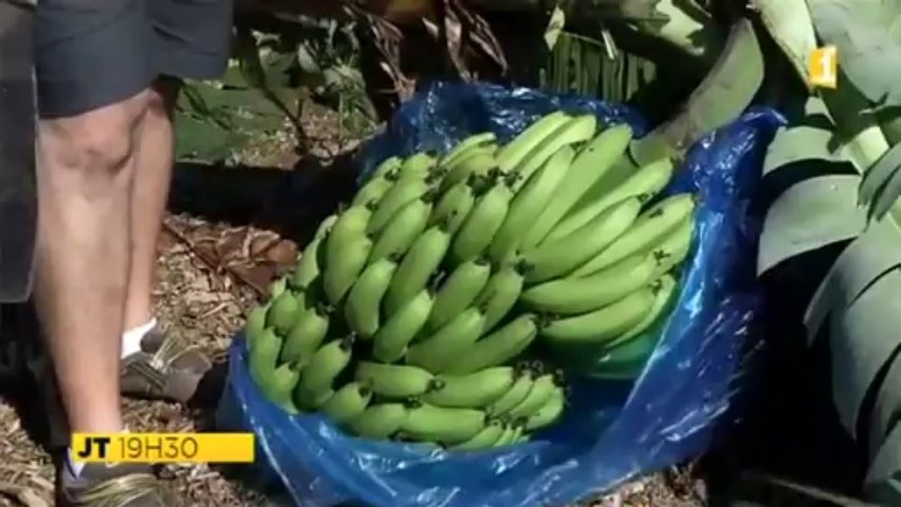 Spécial cyclone "Bejisa" - Janvier 2014  - Ile de la Réunion